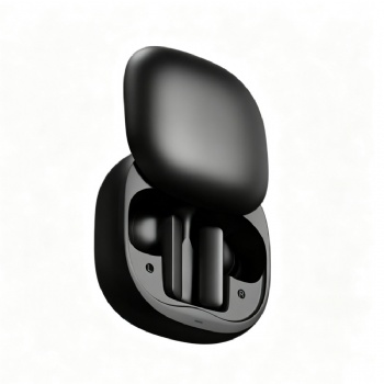 Hybrid Adaptive ANC bluetooth earbuds with 6 Mic